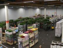 Veiling Aalsmeer