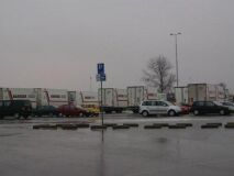 Veiling Aalsmeer
